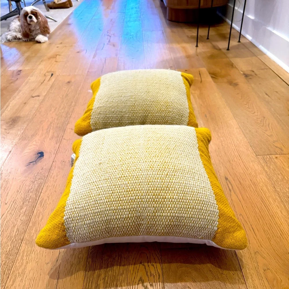 West Elm Banded Basketweave Indoor/ Outdoor Pillow set of 2